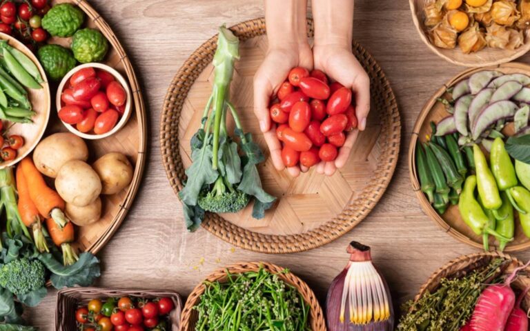 harvard alimentos