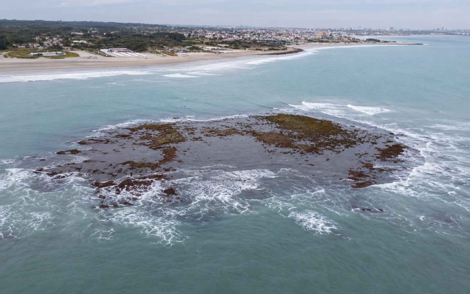 La isla oculta que emergió en Mar del Plata.