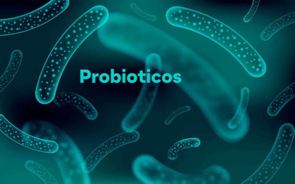 Qué sabemos de los probióticos.