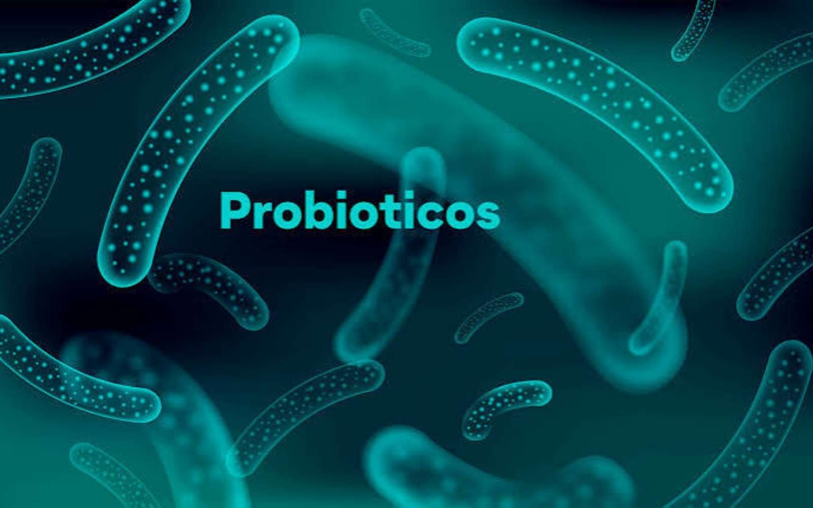 Qué sabemos de los probióticos.