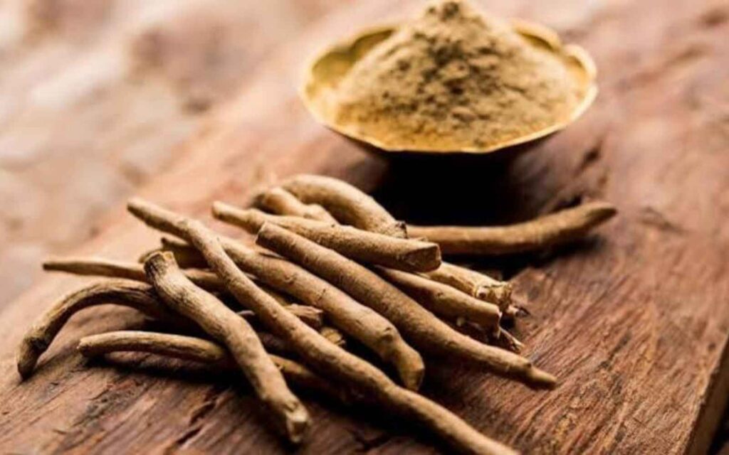 Ashwagandha, una hierba milenaria de la India